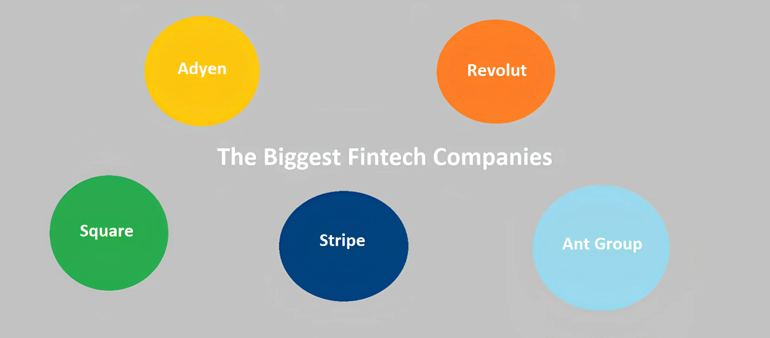 You are currently viewing What is the Biggest Fintech Company in the World?